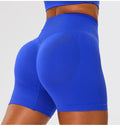 Contour Lift Bike Short