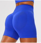 Contour Lift Bike Short